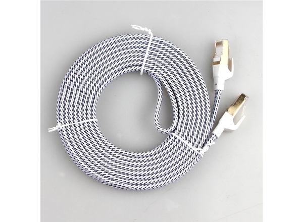 八類SFTP純（chún）銅扁平網線帶外（wài）編網